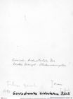 Historisches Foto (Rückseite) von Goniodromites bidentatus (Reuss, 1858) (NHMW-AFW-GEO-BACHMAYER-FOTO-1990-0041-1490)